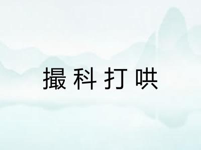 撮科打哄