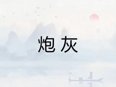炮灰