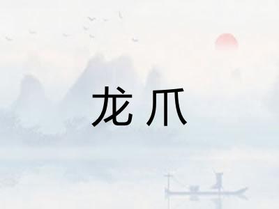 龙爪