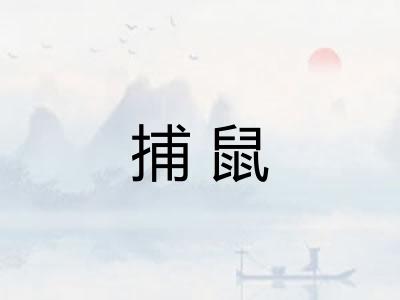 捕鼠