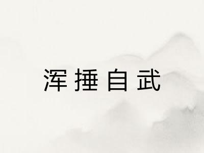 浑捶自武