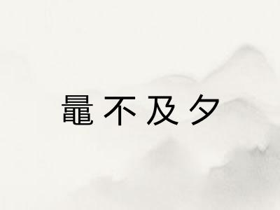 鼂不及夕
