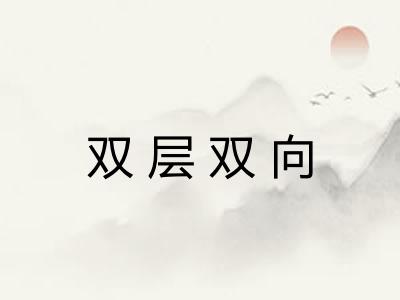 双层双向