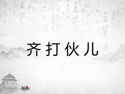 齐打伙儿