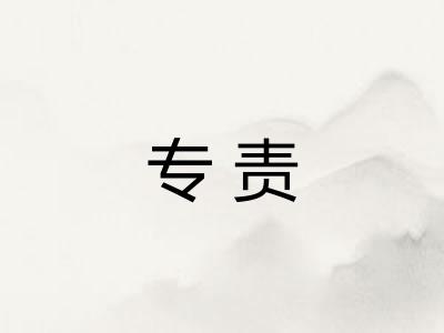 专责