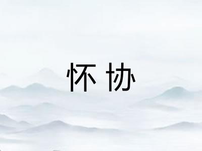 怀协