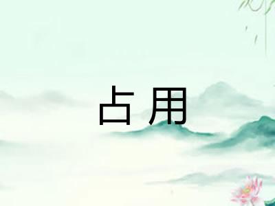 占用