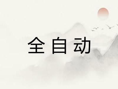 全自动