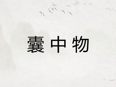 囊中物