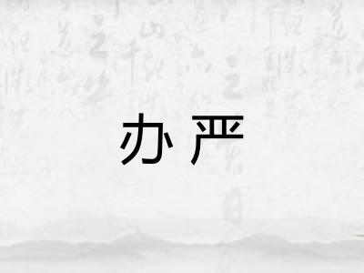 办严