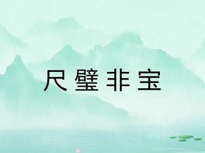 尺璧非宝