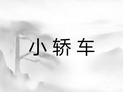 小轿车