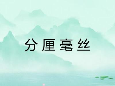 分厘毫丝