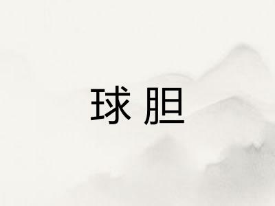 球胆