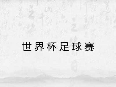 世界杯足球赛