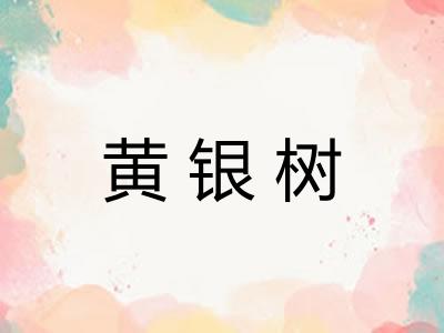 黄银树