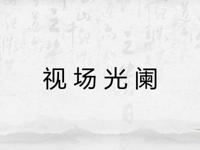 视场光阑