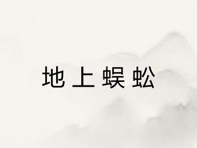 地上蜈蚣