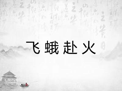 飞蛾赴火