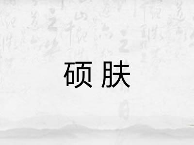 硕肤