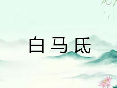 白马氐