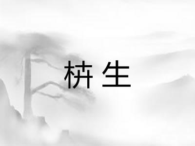 枿生