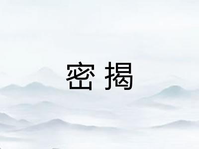 密揭