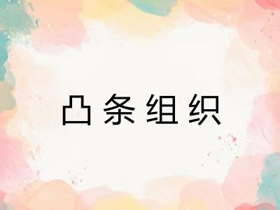 凸条组织