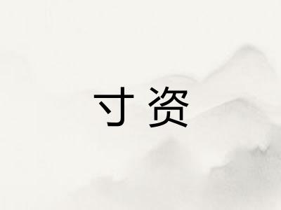 寸资