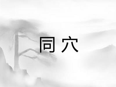 同穴