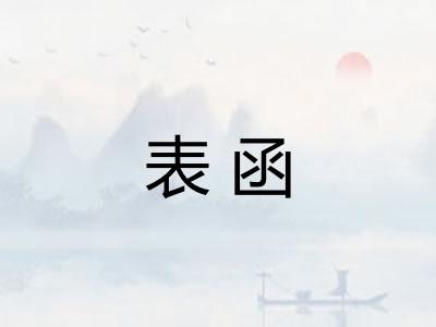 表函