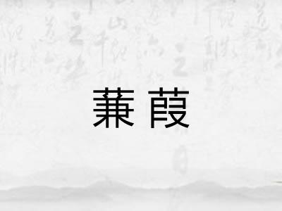 蒹葭