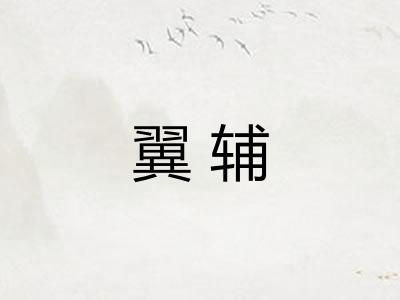 翼辅