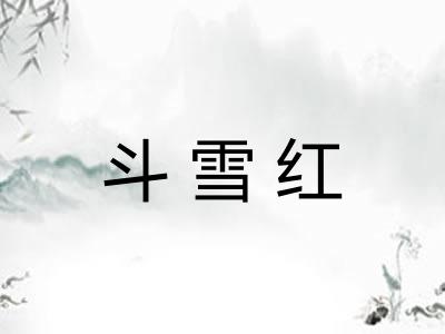 斗雪红