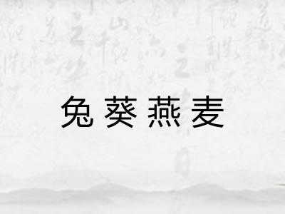 兔葵燕麦