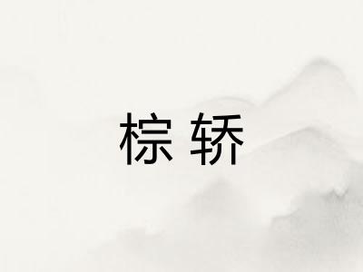棕轿