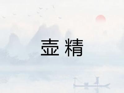 壶精