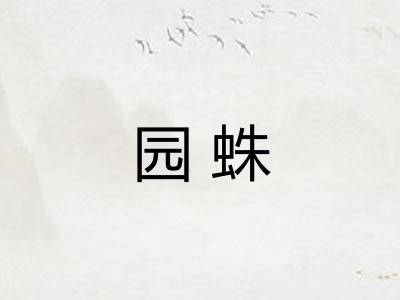 园蛛