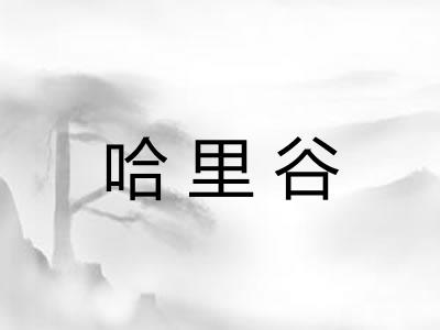 哈里谷