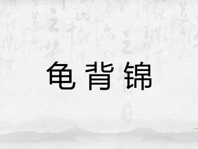 龟背锦