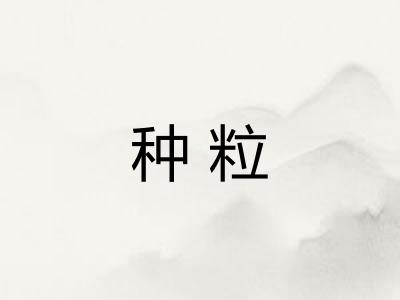 种粒