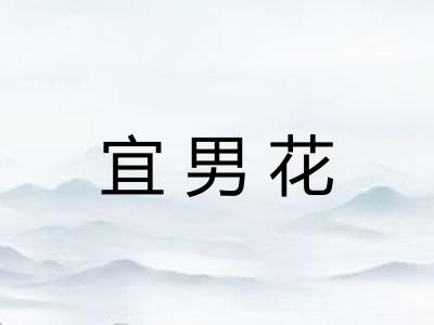 宜男花