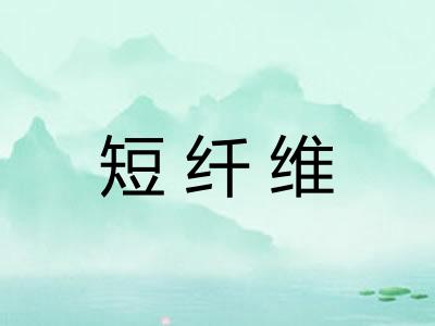 短纤维