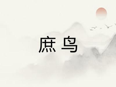 庶鸟