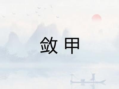 敛甲