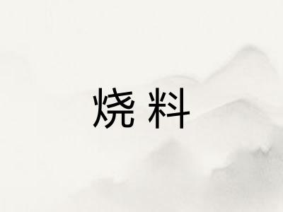烧料