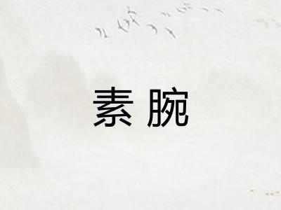 素腕