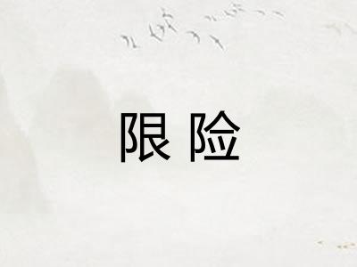限险
