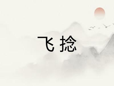 飞捻