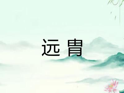 远胄